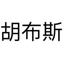 胡布斯